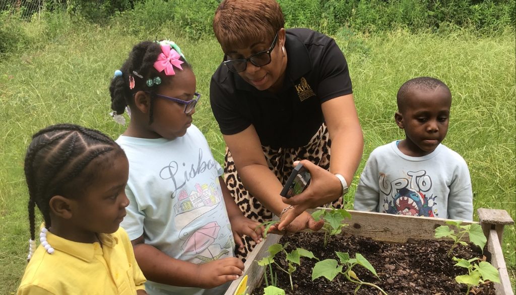 preschoolers look at plants in a raised bed