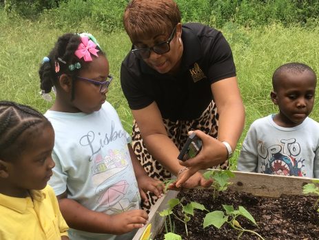 preschoolers look at plants in a raised bed