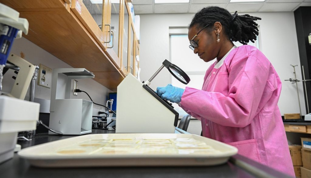 Tahirah Johnson examines testing samples under a magnifying glass in a research lab on the University of Maryland Campus in 2024.