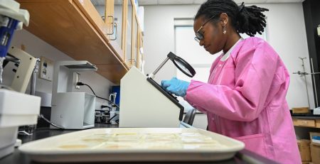 Tahirah Johnson examines testing samples under a magnifying glass in a research lab on the University of Maryland Campus in 2024.