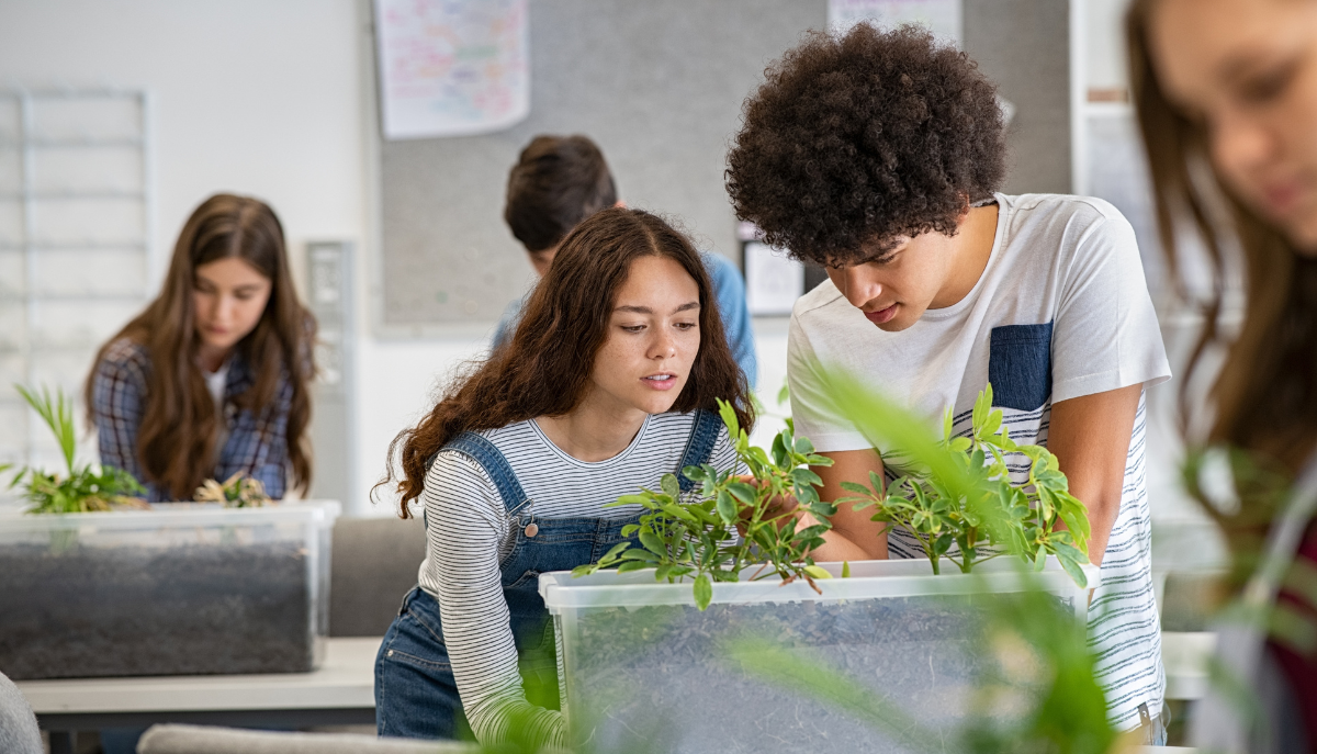 students work on a plant-based science experiment
