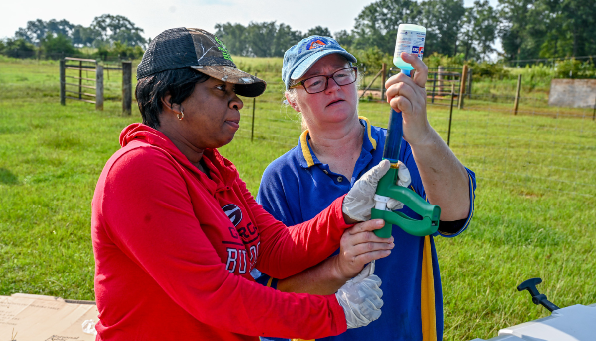 two scientists take a sample