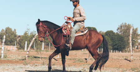 a young man riding a horse