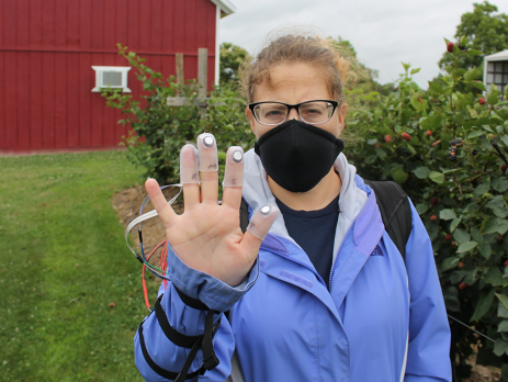 scientist in a blackberry field wearing a device with finger nodules for picking blackberries