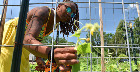 black woman farmer examines a squash plant