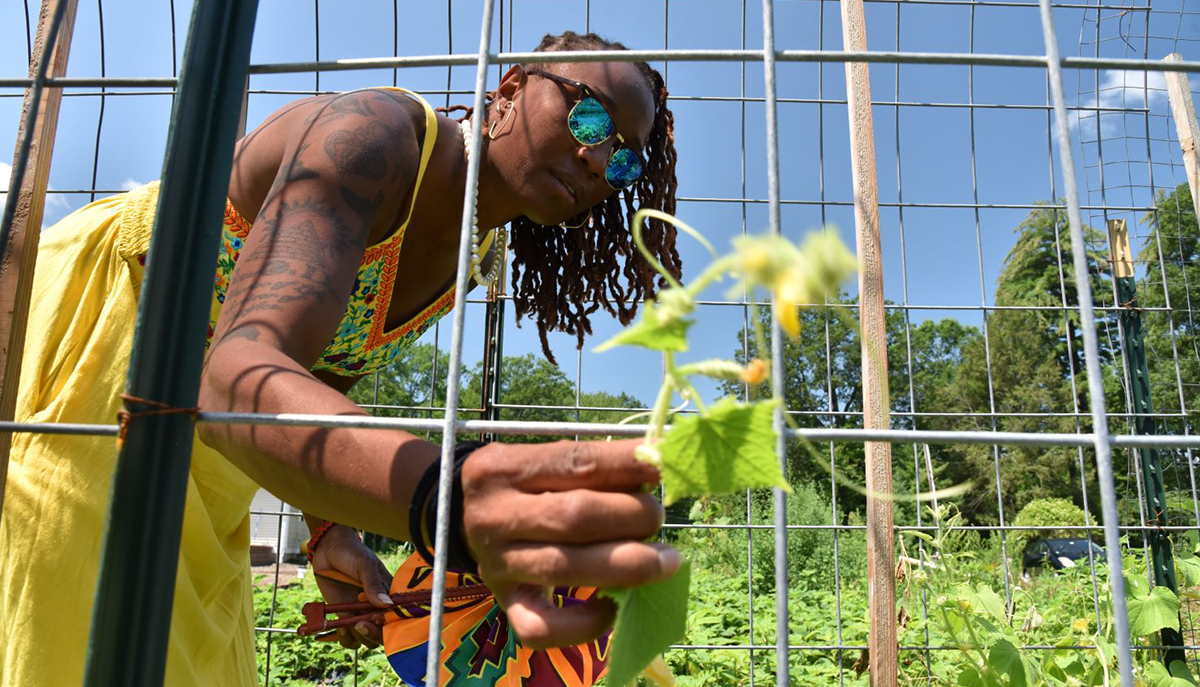 black woman farmer examines a squash plant