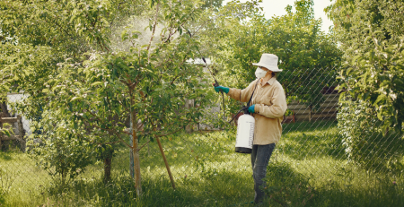a woman wearing PPE sprays pesticides on a tree