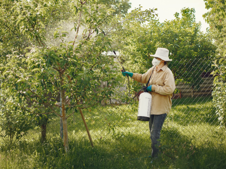 a woman wearing PPE sprays pesticides on a tree