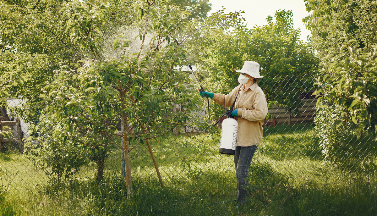 a woman wearing PPE sprays pesticides on a tree