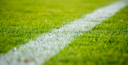closeup shot of turfgrass on a soccer field