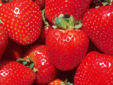 closeup photograph of pile of strawberries