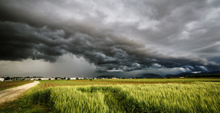 Dark storm clouds brewing over a field