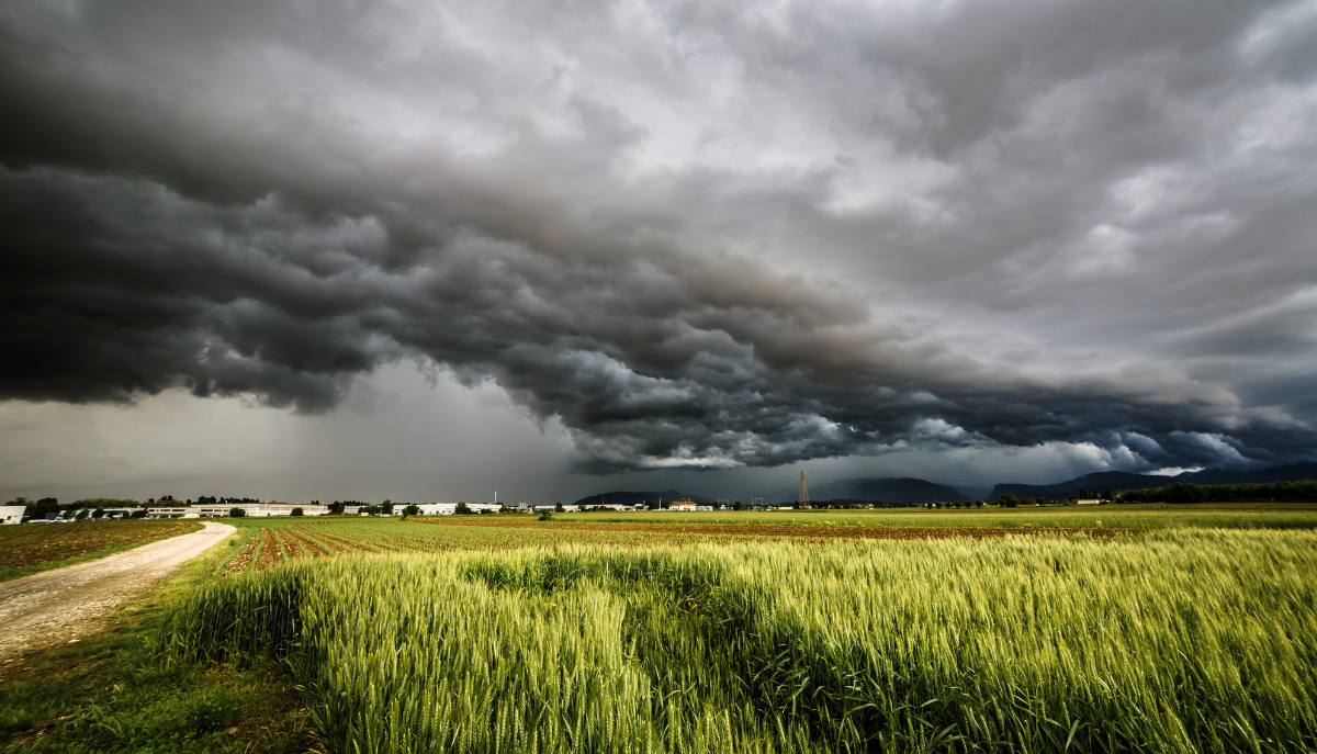 Dark storm clouds brewing over a field