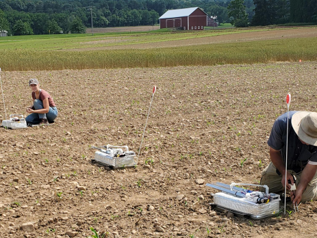 two scientists take samples and measurements in a field
