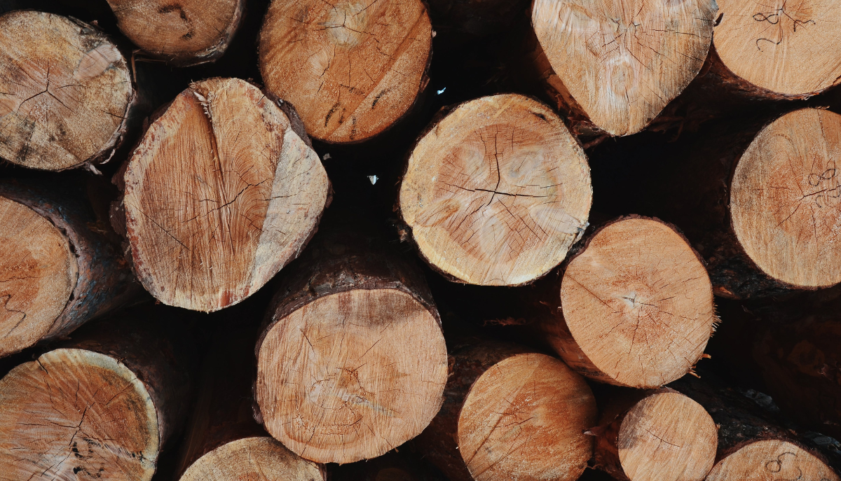 cut lumber