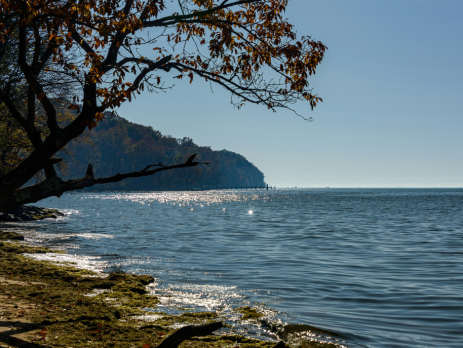 the Chesapeake Bay