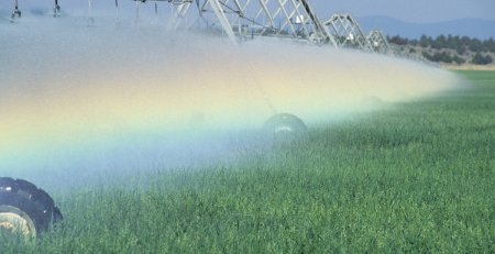 a rainbow shines through sprinkler mist on a field