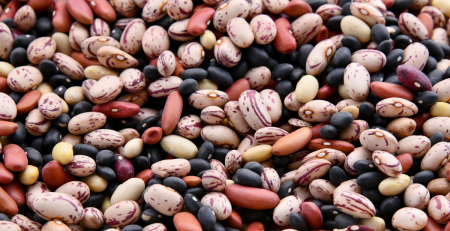 mixture of various dry beans