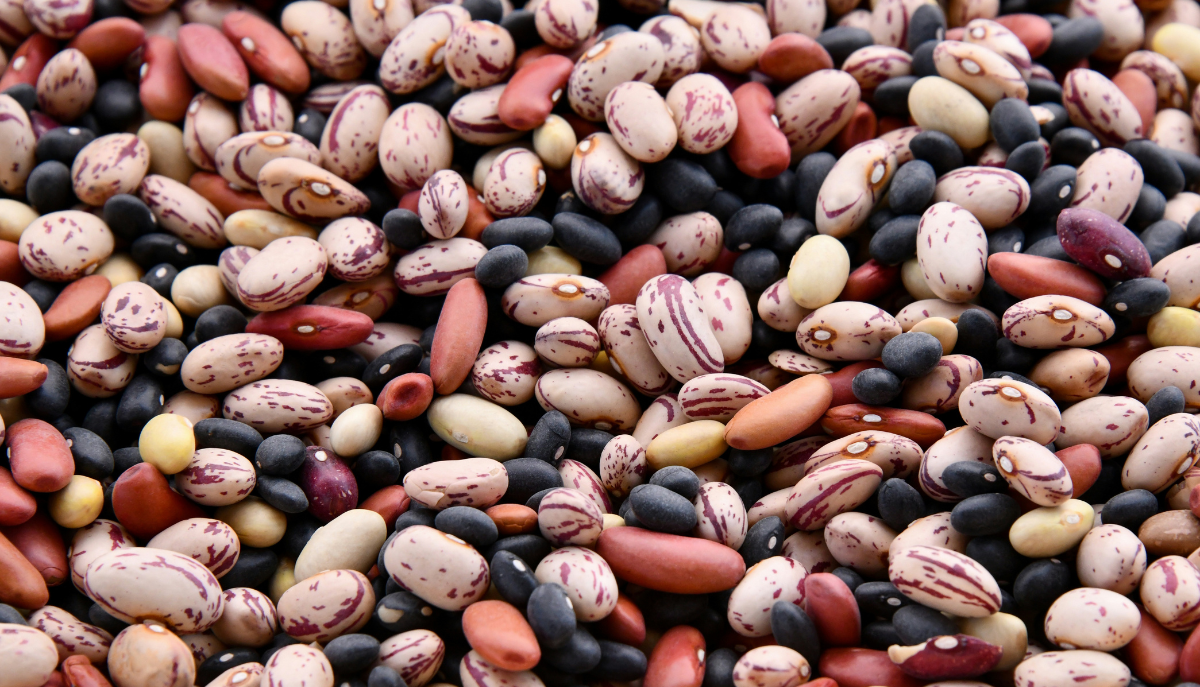 mixture of various dry beans
