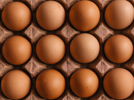 brown chicken eggs in a carton