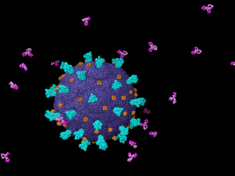 covid virus