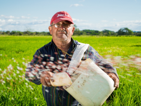 a farmer standing in a field