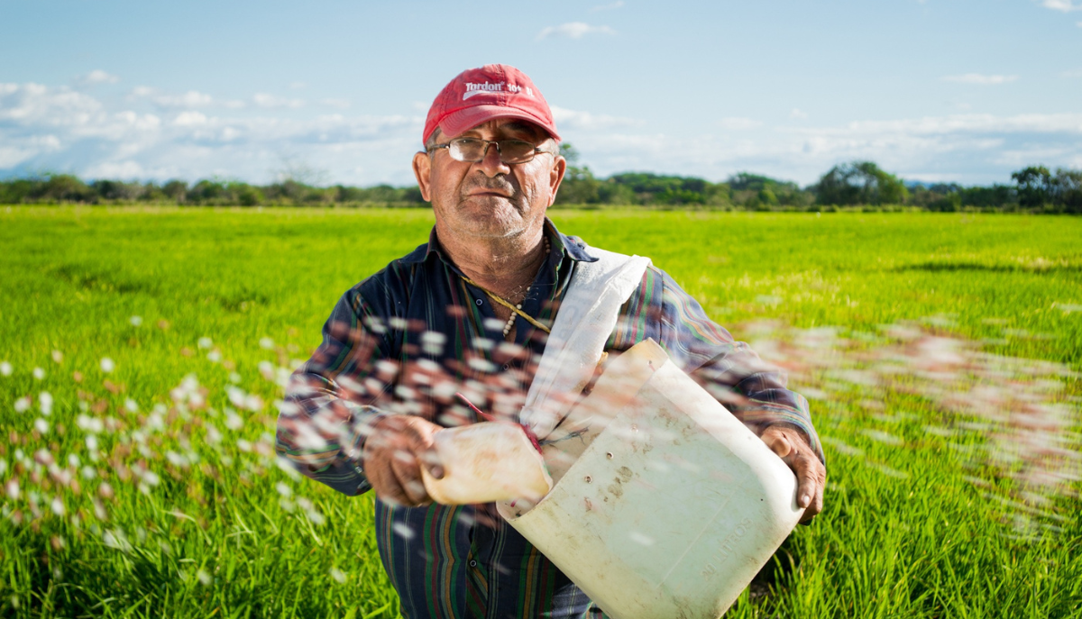 a farmer standing in a field