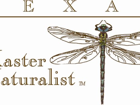 Texas Master Naturalist logo featuring a drawing of a dragonfly