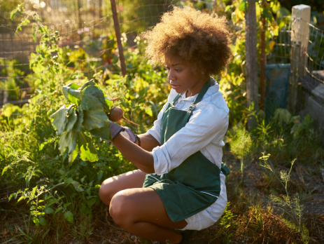 young woman examines a plant in her garden
