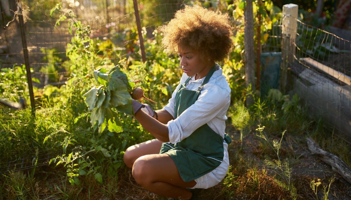 young woman examines a plant in her garden