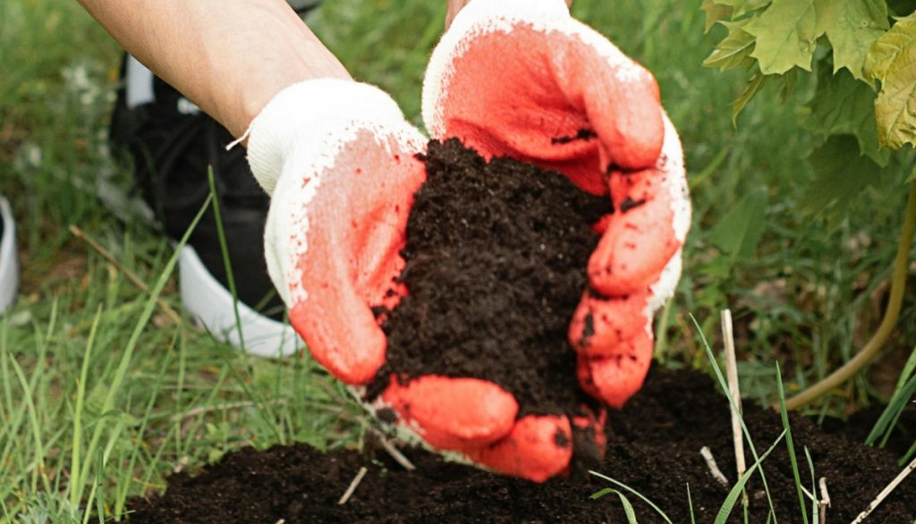 hands holding soil