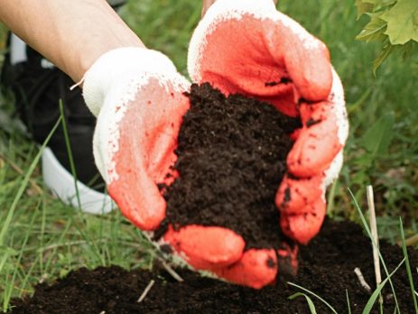 hands holding soil