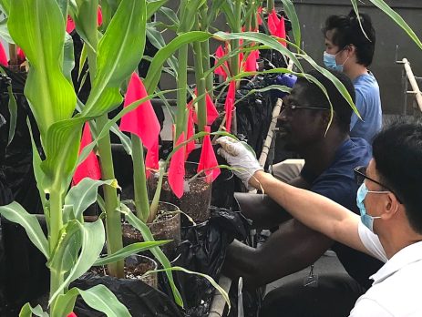 scientists examine plants grown with biochar
