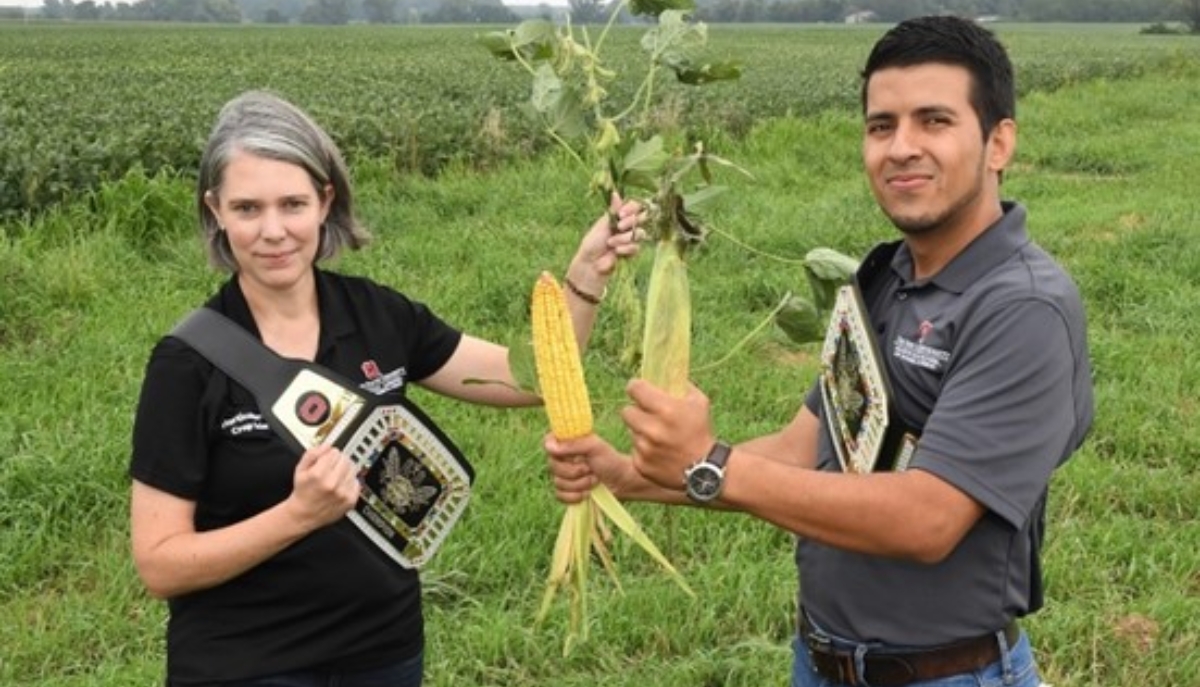 two scientists hold a corn plant and a soybean plant in a mock competition
