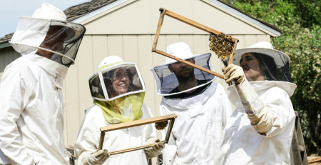 four people in beekeeper suits examine honeycombs from a beehive
