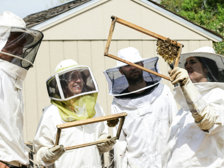 four people in beekeeper suits examine honeycombs from a beehive