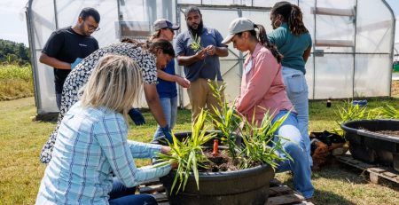 participants at Ginger Field Day participate in planting