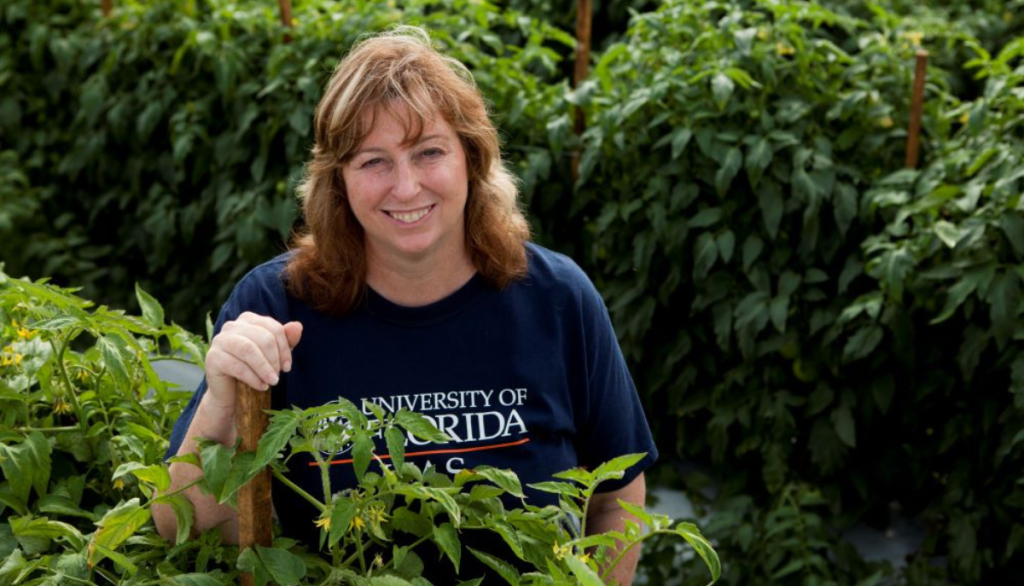 researcher Pam Roberts standing in experimental tomato crops