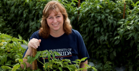 researcher Pam Roberts standing in experimental tomato crops