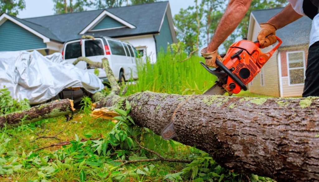 Worker cuts down fallen tree with chainsaw in suburban neighborhood after storm