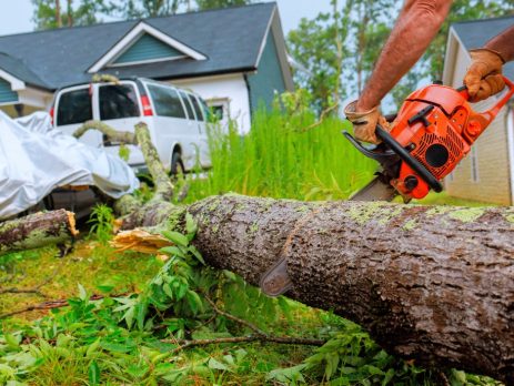 Worker cuts down fallen tree with chainsaw in suburban neighborhood after storm