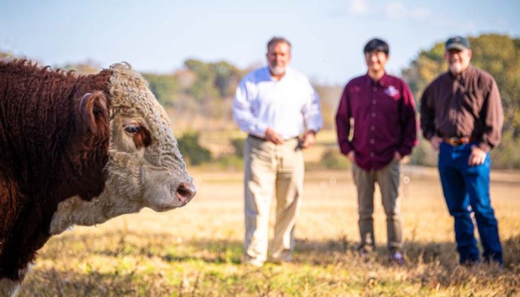 Scientists stand in a pasture with a bull in the foreground