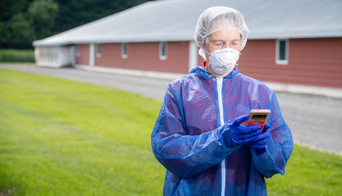 a person wearing PPE and looking at a device