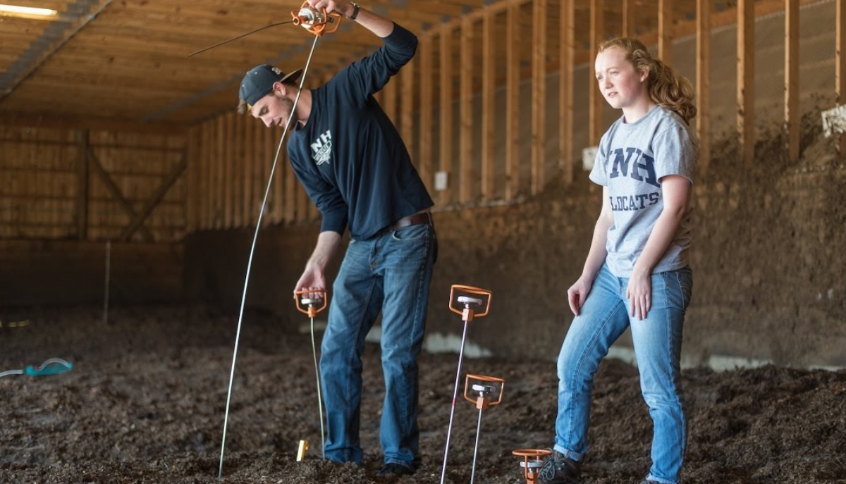 two students test manure at UNH Organic Research Dairy Farm