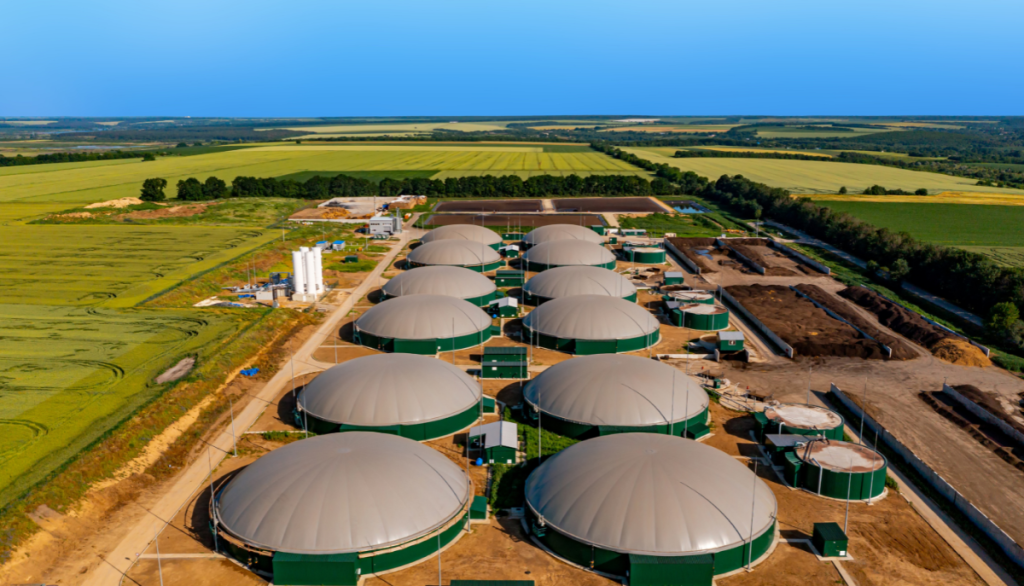 ENERGY AND BIOPRODUCTS