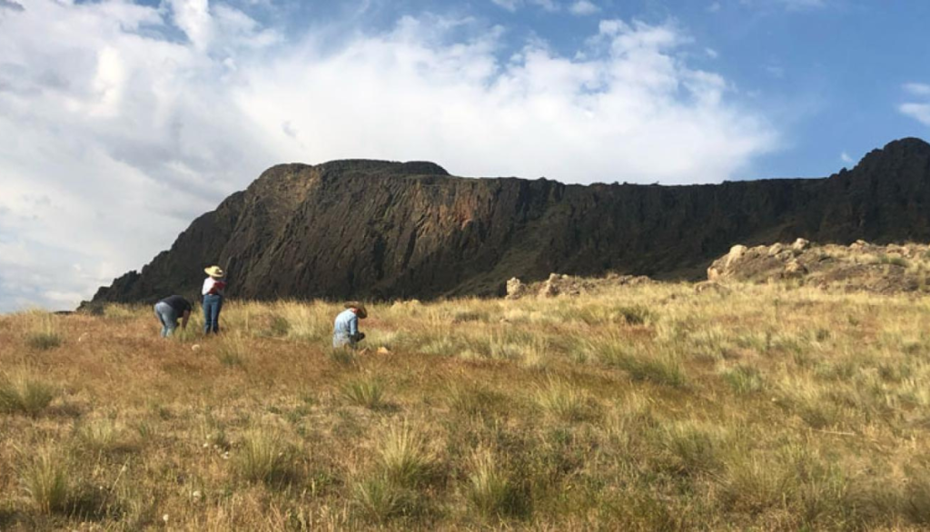 3 scientists taking samples in a field