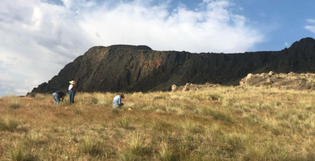 3 scientists taking samples in a field