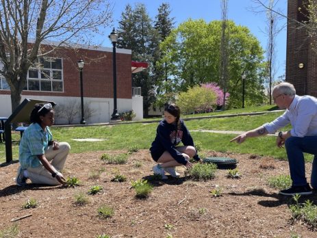 three people working in a rain garden between two buildings
