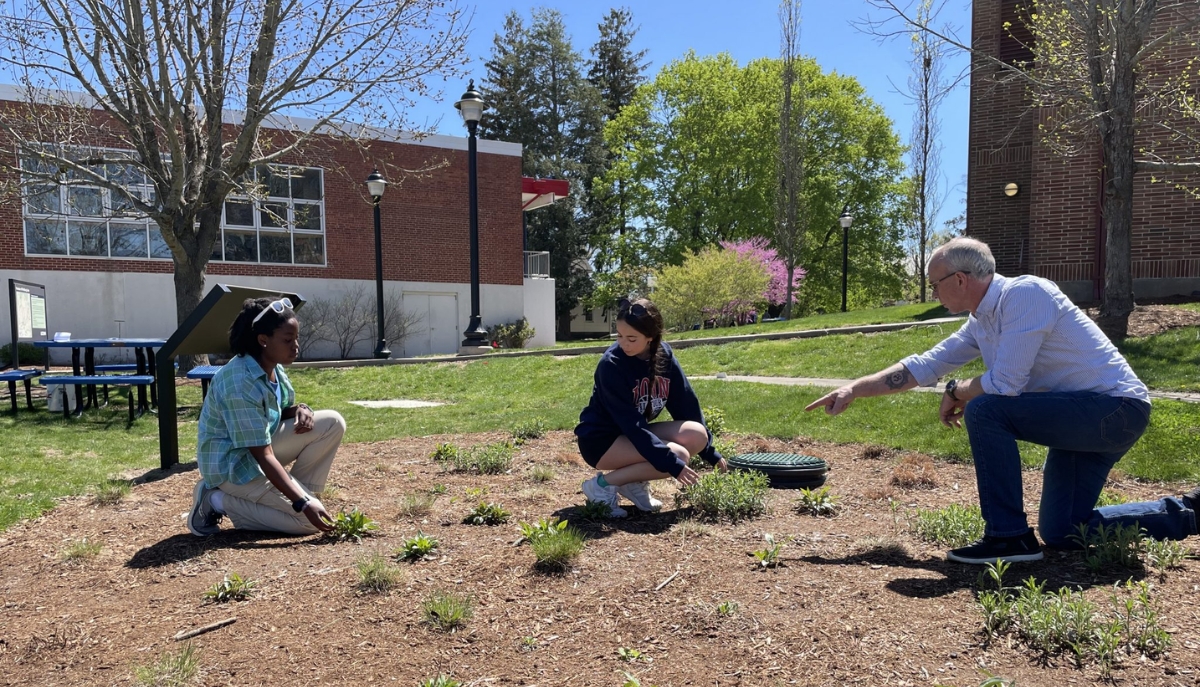 three people working in a rain garden between two buildings