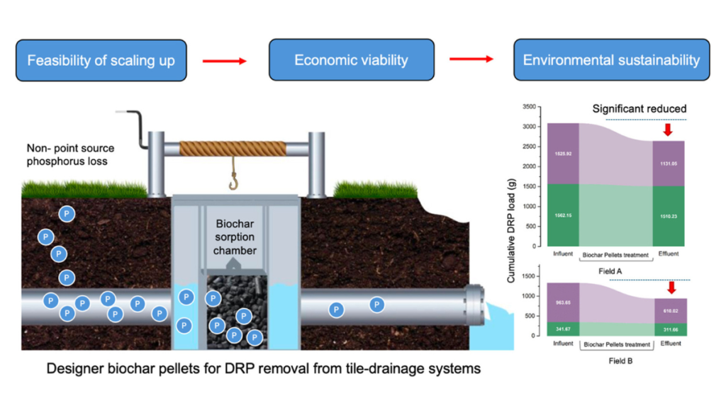 Illinois researchers use designer biochar to tackle nutrient pollution
